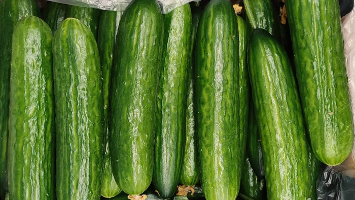 Kígyóuborka