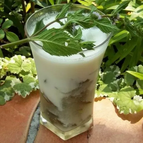Hűsítő mentás kefir kovászos uborkával