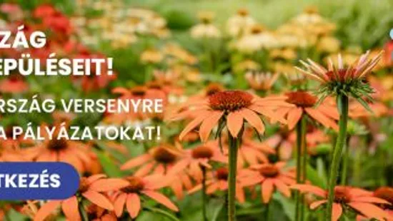 Újra szirmot bontott a Virágos Magyarország