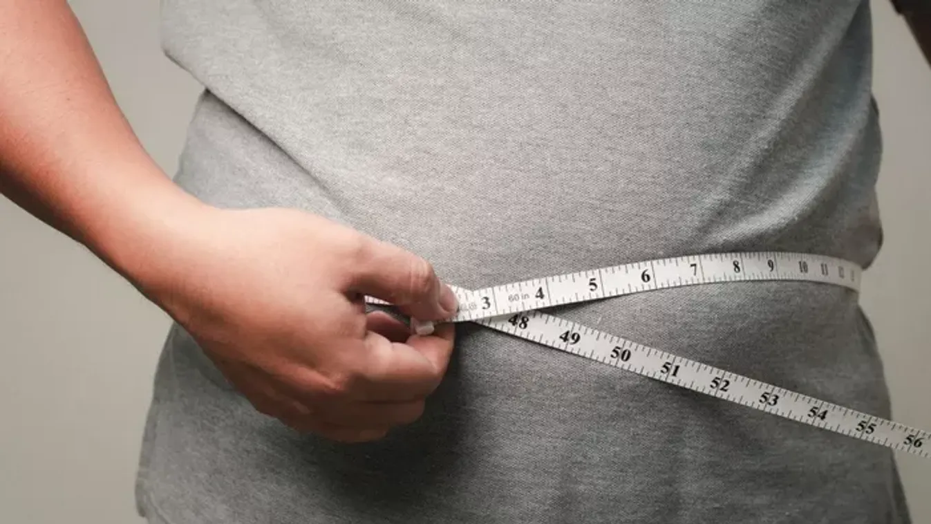 Egy fehérje felelős az elhízásért? Egereken már sikerült „kikapcsolni”