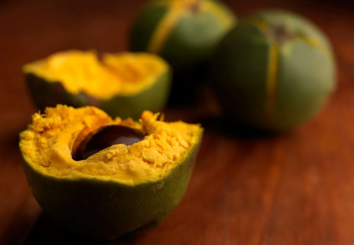 lucuma