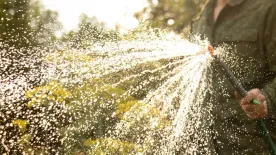 5 hiba, amelyet mindenki elkövet öntözéskor