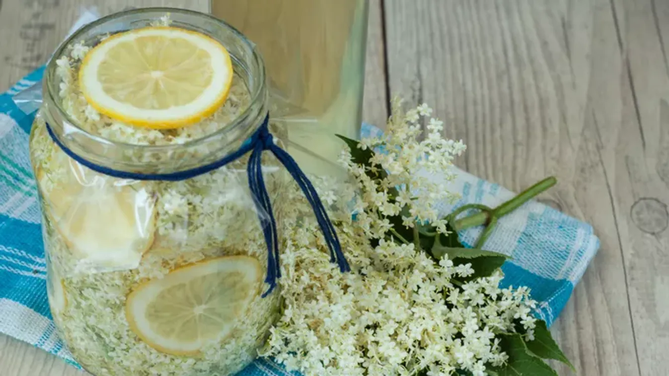 Bodzaszörp recept