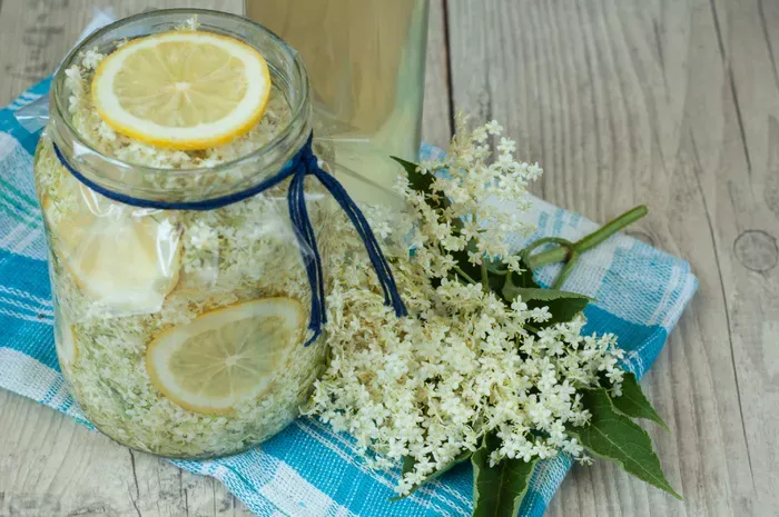 Bodzaszörp recept