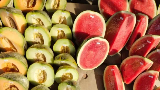 Megjelent a magyar dinnye a piacon, az ára is figyelemre méltó