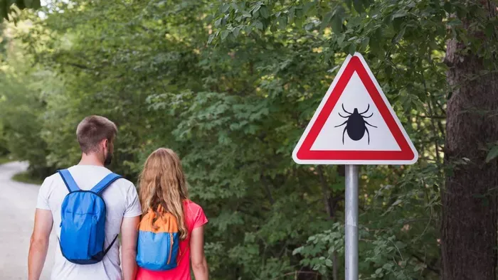 Tudtad? Ezért nem szabad összenyomni a kullancsot