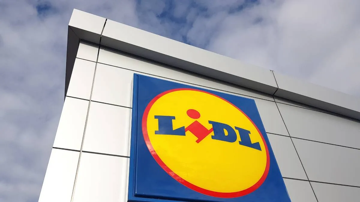 Kincs a kertben: mindössze 2999 forint a Lidlben a nyár slágerterméke