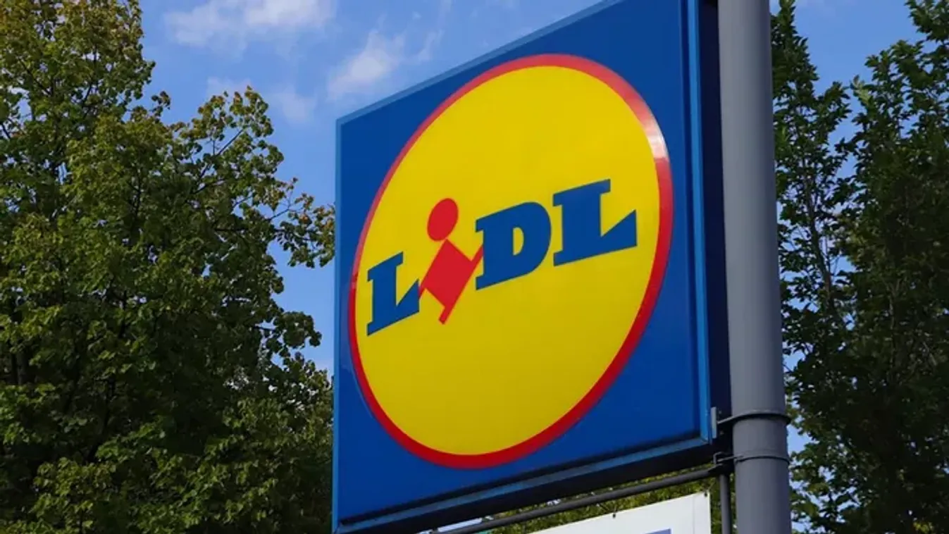 Újra kapni a leghasznosabb nyári terméket, és csak 1999 Ft a Lidlben