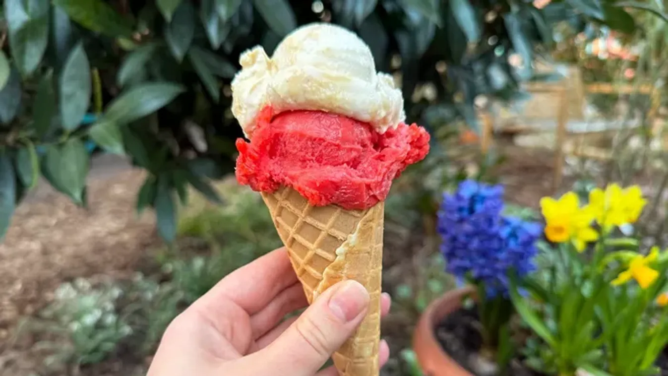 Extrém fagyiízekkel sokkol egy kis zuglói cukrászda, ilyet még biztosan nem kóstoltál