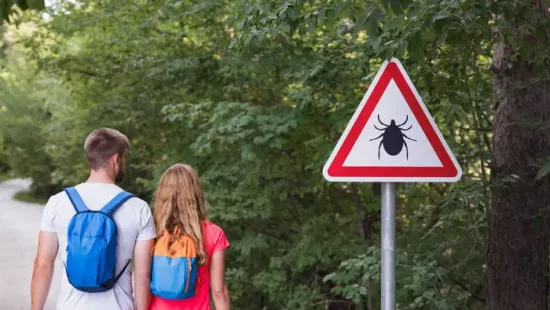 Tudtad? Ezért nem szabad összenyomni a kullancsot