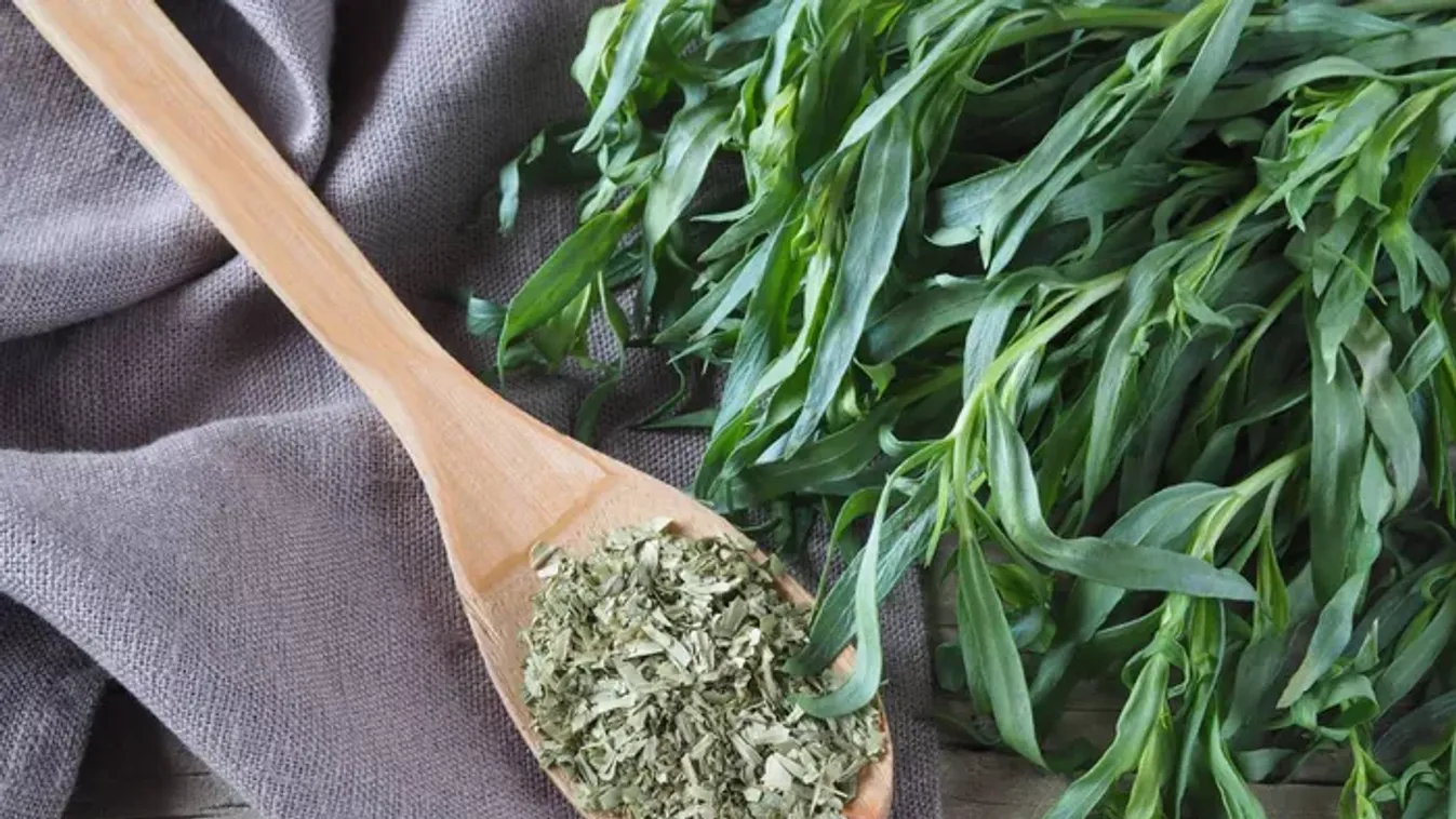 Horror áron adják a piacon, pedig fillérekből megterem a kertben