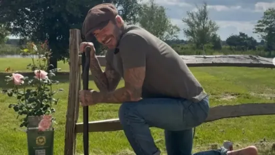 David Beckham megmutatta, mit talált a kertjében