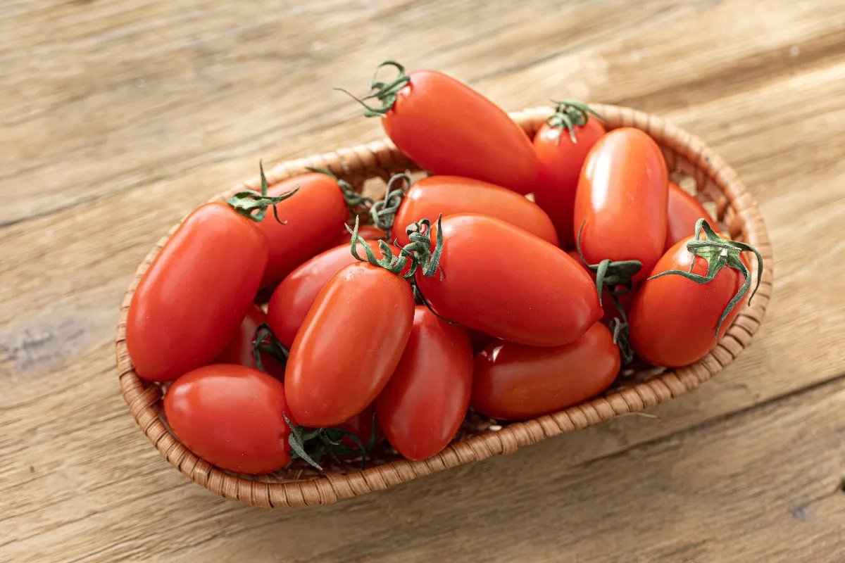 A paradicsom megfelelő tárolása az ízén és állagán is érezhető lesz