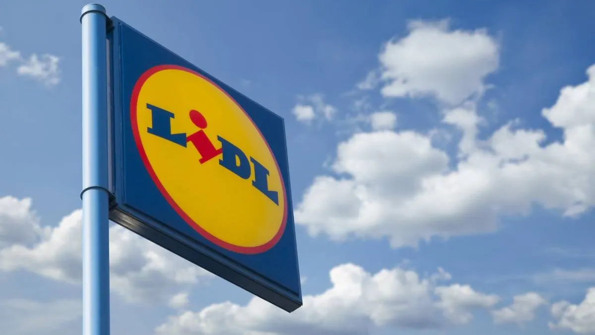 A tavalyinál is olcsóbban kínálja a Lidl ezt a kötelező nyári kelléket