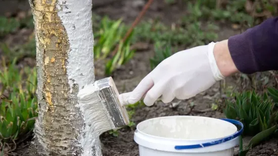 Régi, bevált módszer a kertben: mire jó a mészkénlé, és hogyan használjuk helyesen?