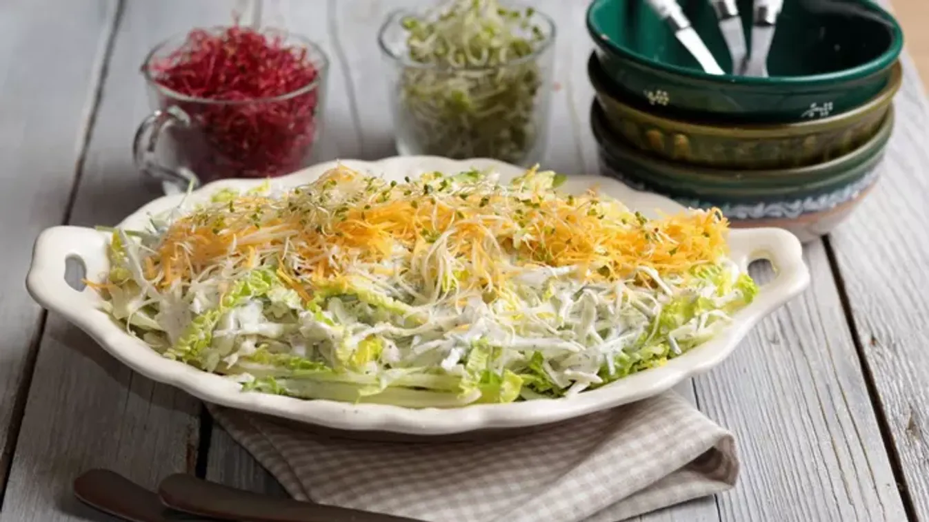 Kapros-sajtos káposztasaláta  recept