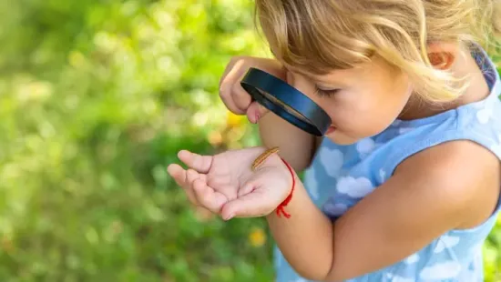 Hernyók a kertben: vegyszerek nélkül is megszabadulhatsz tőlük, csak erre lesz szükség
