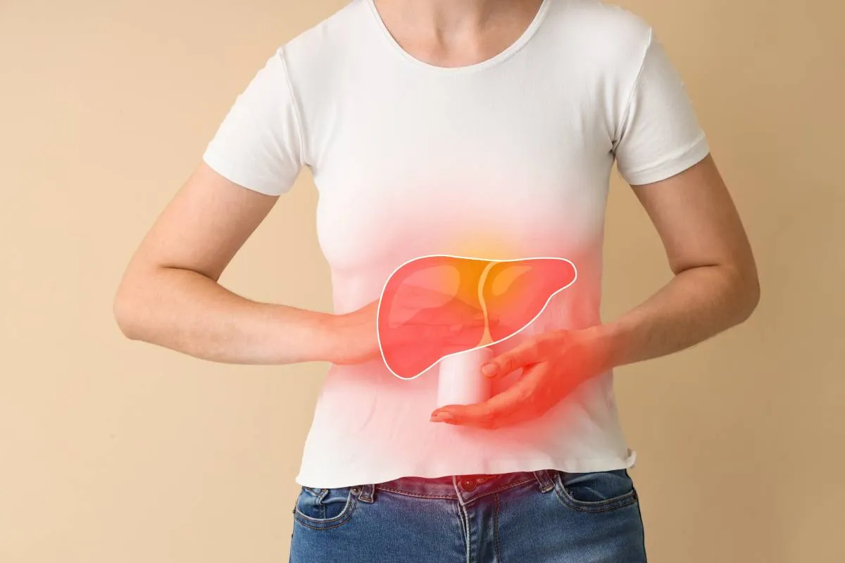 A máj számos, a szervezetben zajló folyamatban játszik fontos szerepet 