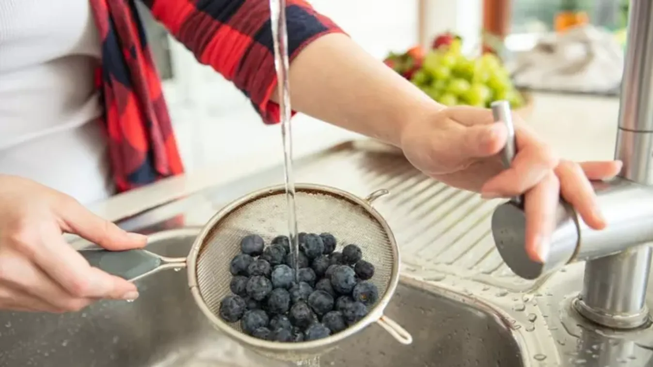 Ezért ne csak vízzel mosd meg az áfonyát – így lesz vegyszermentes és tiszta!