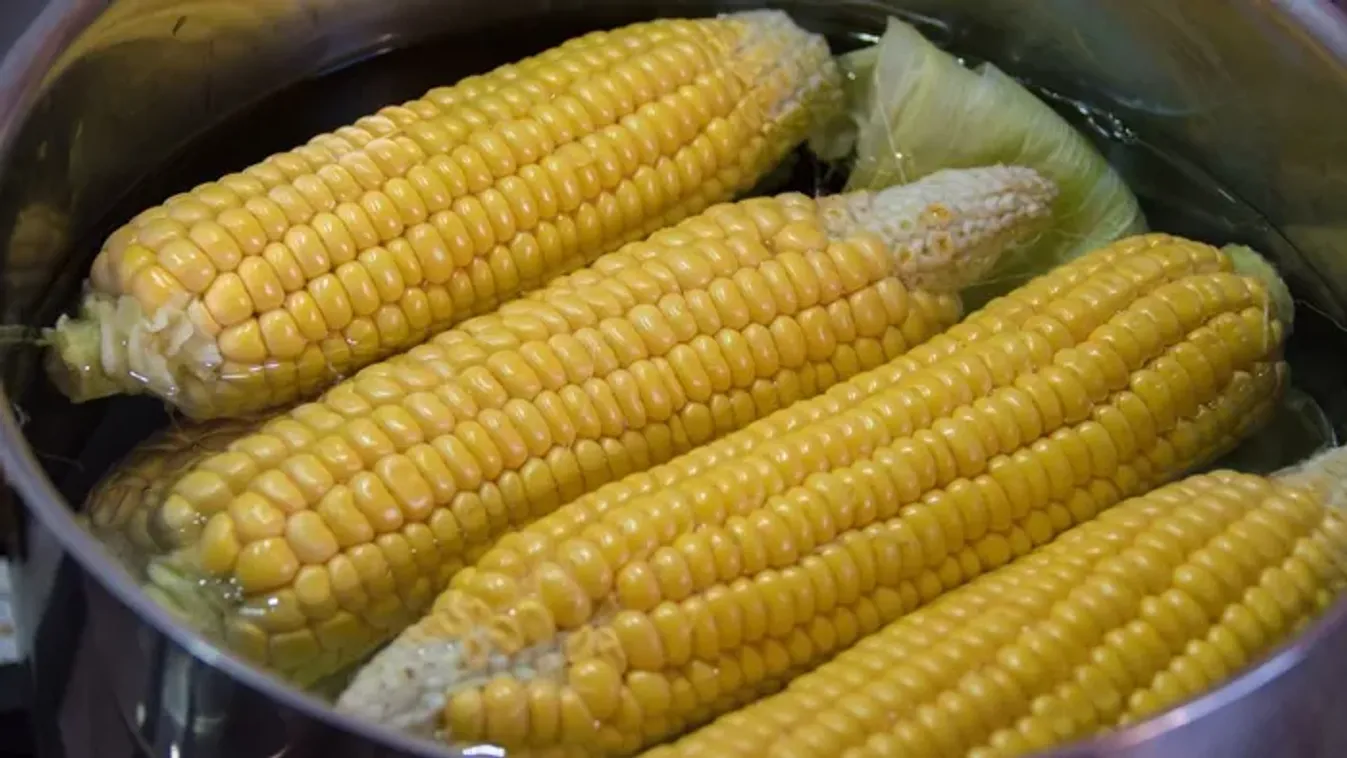 Ezen múlik, hogy tökéletes lesz-e a főtt kukorica: ezt a ballépést soha ne kövesd el!