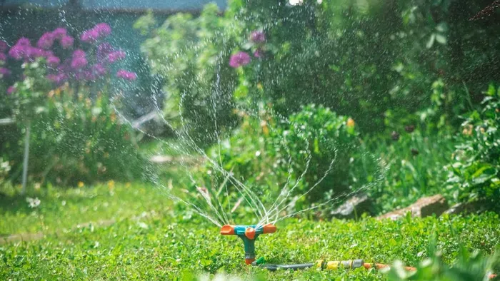 Így maradnak életben a növényeid a kertben, míg te nyaralsz