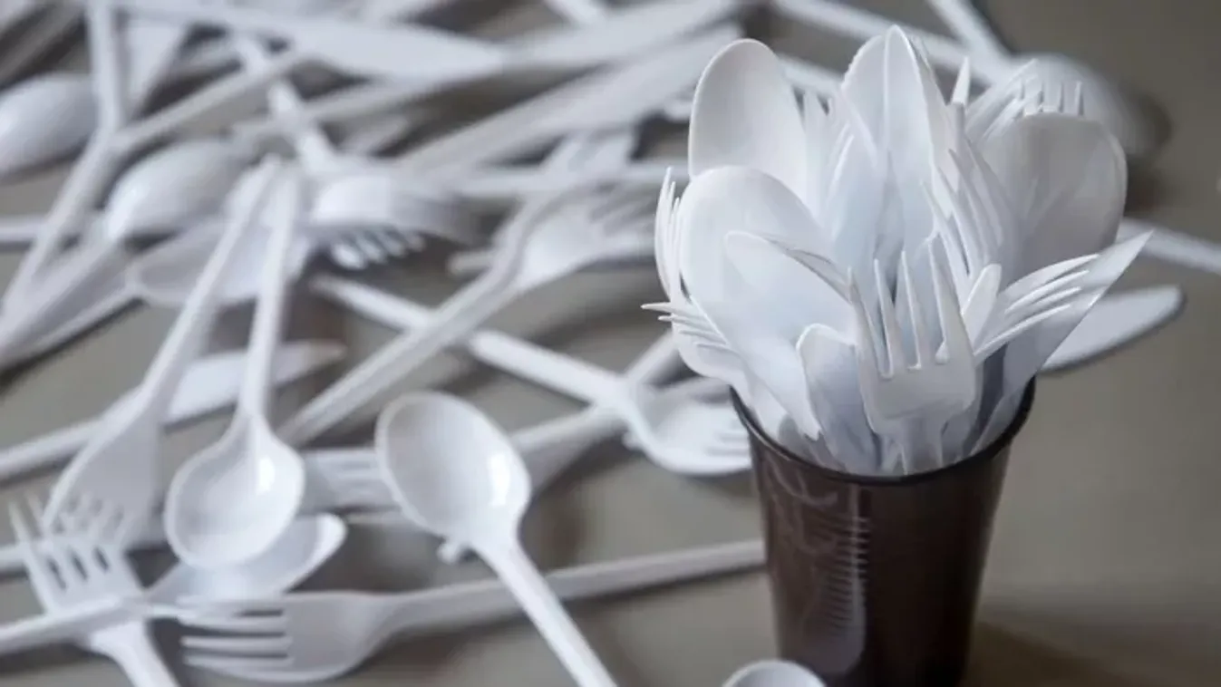 Súlyos károkat okoznak ezek a mindennapi eszközök, jobb, ha mielőbb lecseréled őket