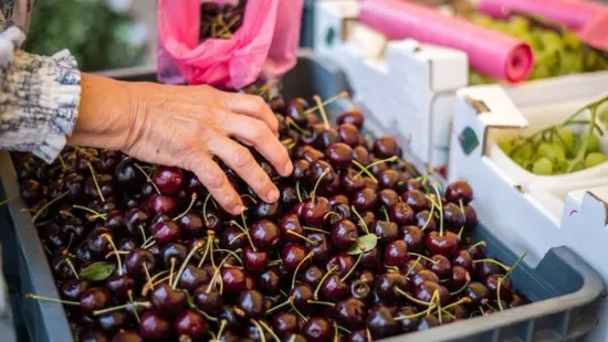 Mennyi az annyi? Ennyibe kerül a meggy 2025-ben a piacon és a boltokban