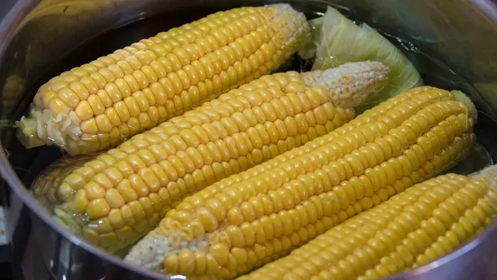 Ezen múlik, hogy tökéletes lesz-e a főtt kukorica: ezt a ballépést soha ne kövesd el!