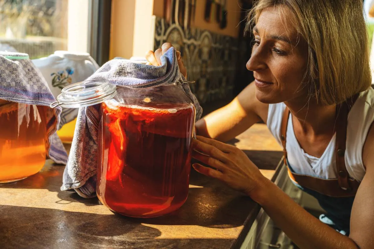 A kombucha egyike az emésztést segítő italoknak