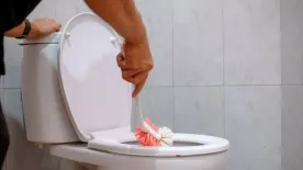 Ezt öntsd a vécébe, lerobbantja a vízkövet és még illatosít is