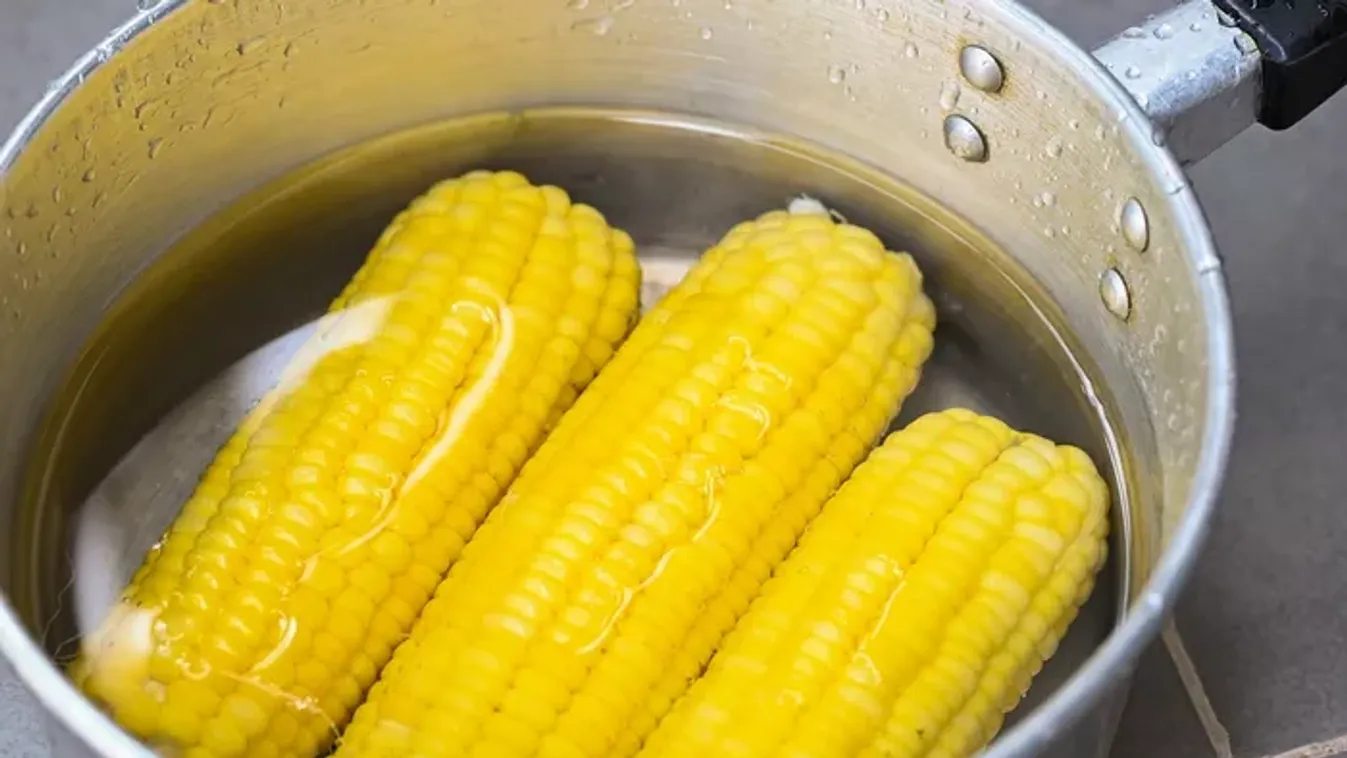 Ne öntsd ki a kukorica főzővizét, igazi kincs a konyhában, amivel spórolhatsz is