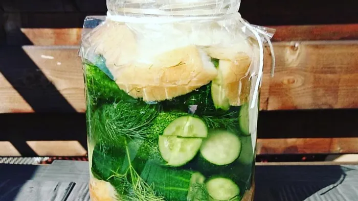 A tökéletes kovászos uborka titka