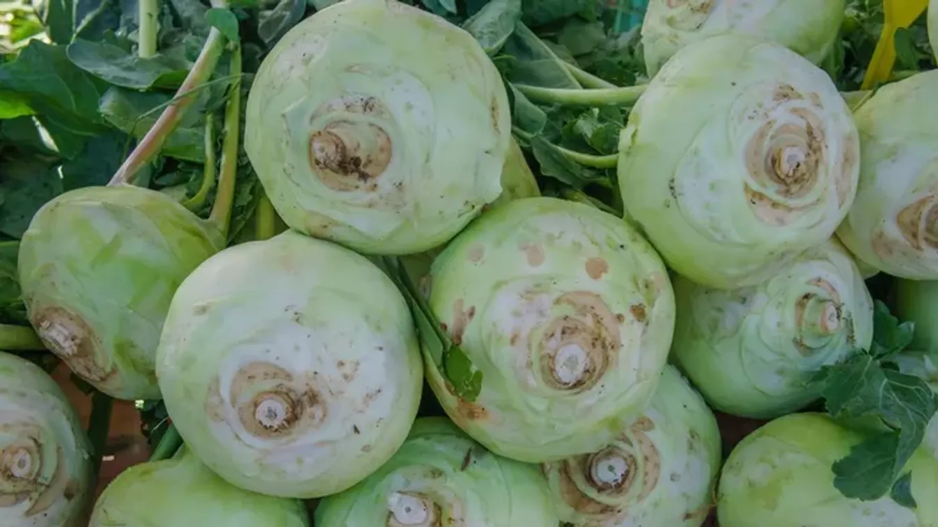 Azt gondoljuk, egyszerű leveszöldség, pedig sokkal több annál!