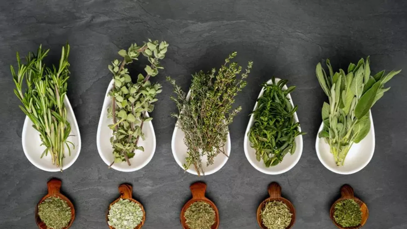 Így tegyél el friss zöldfűszert télire: 4 egyszerű tartósítási tipp