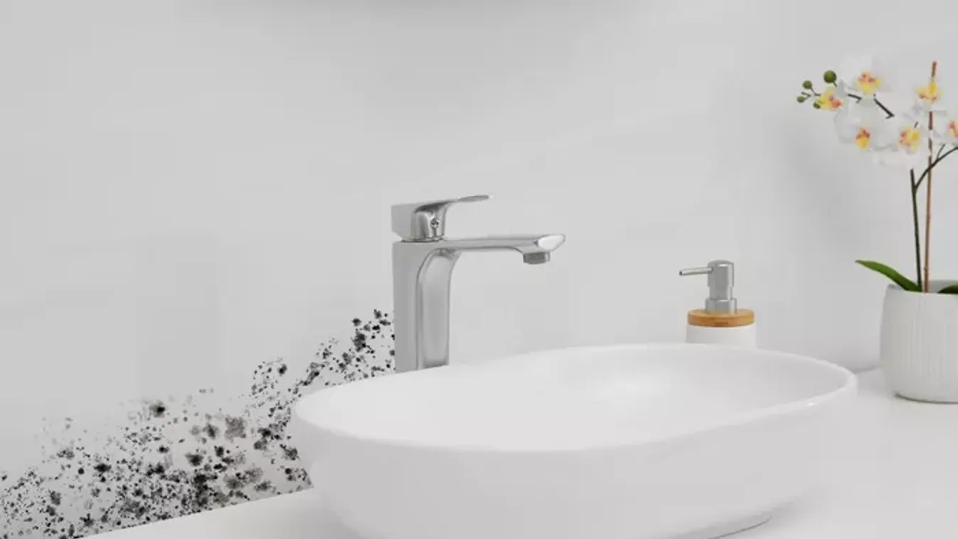 Penészmentes fürdő ősztől tavaszig: csak ennyit kell tenned!