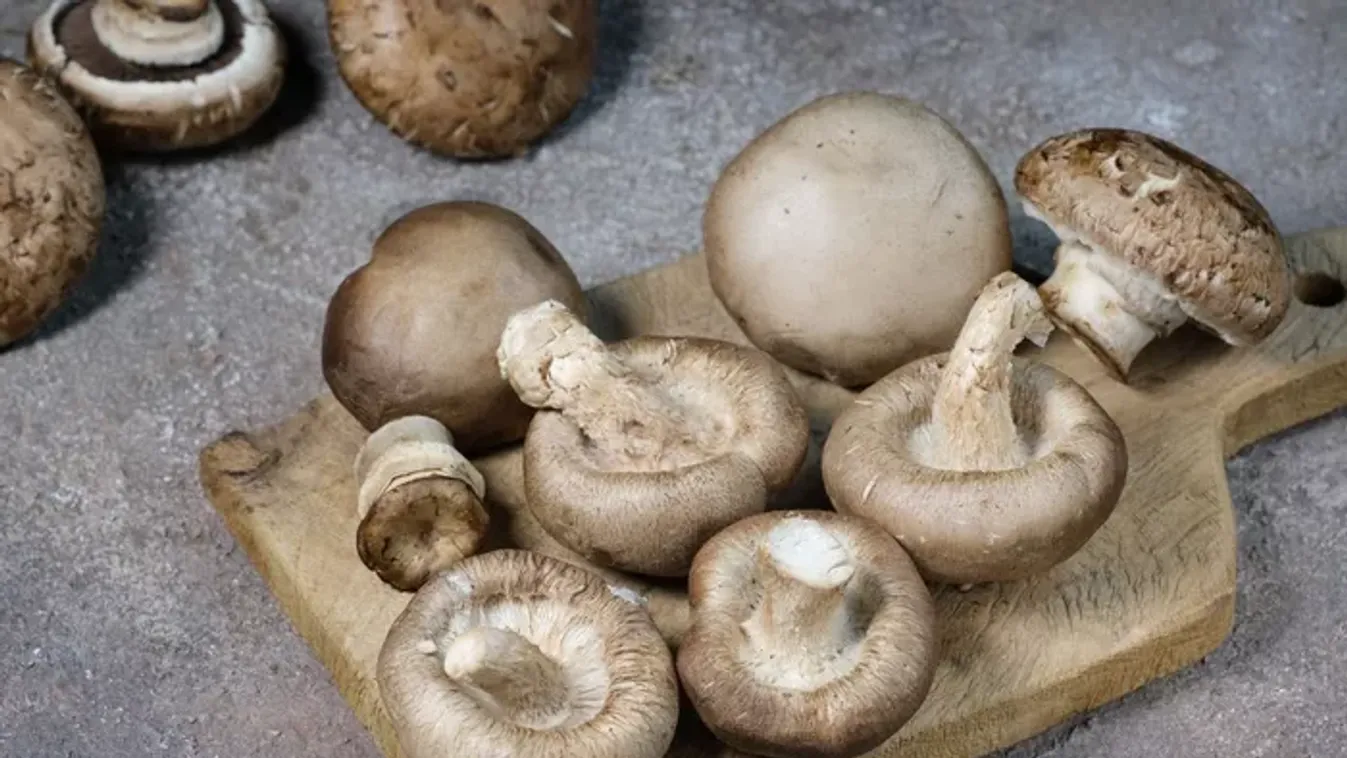 Sokkal több D-vitamin lesz a gombában, ha ezt a trükköt beveted!