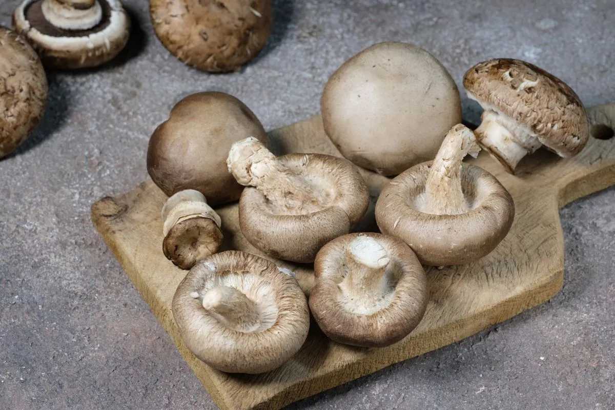 A gomba D-vitamintartalma egy egyszerű trükkel megnövelhető