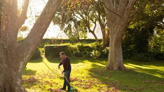 Ezt a 7 lépést még most végezd el, hogy álomszép legyen a pázsit tavasszal!