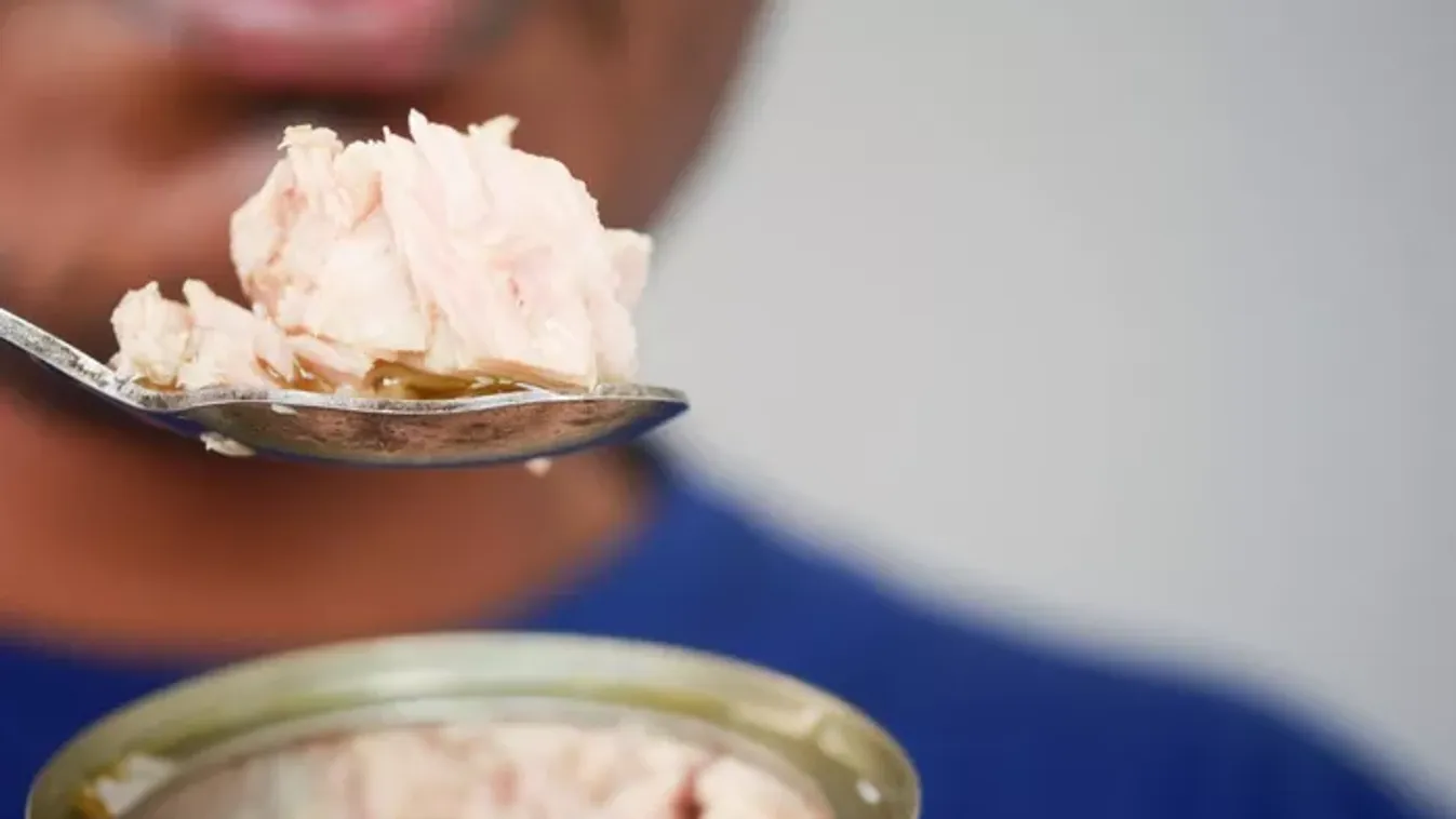 Erre figyelj, ha tonhalkonzervet vásárolsz: így jelzik, ha veszélyes helyről származik a hal