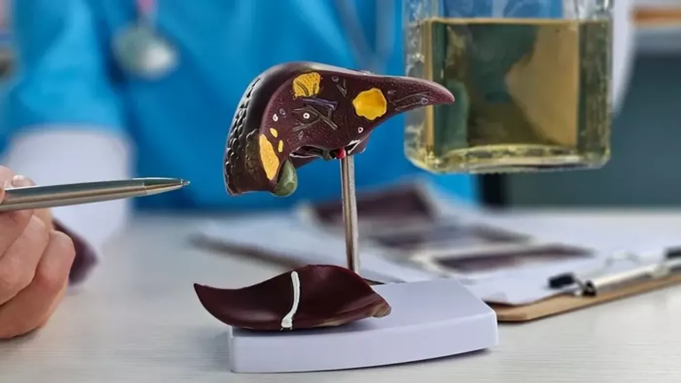 Áttörés a zsírmáj elleni küzdelemben: ez a vitamin lehet a megoldás!