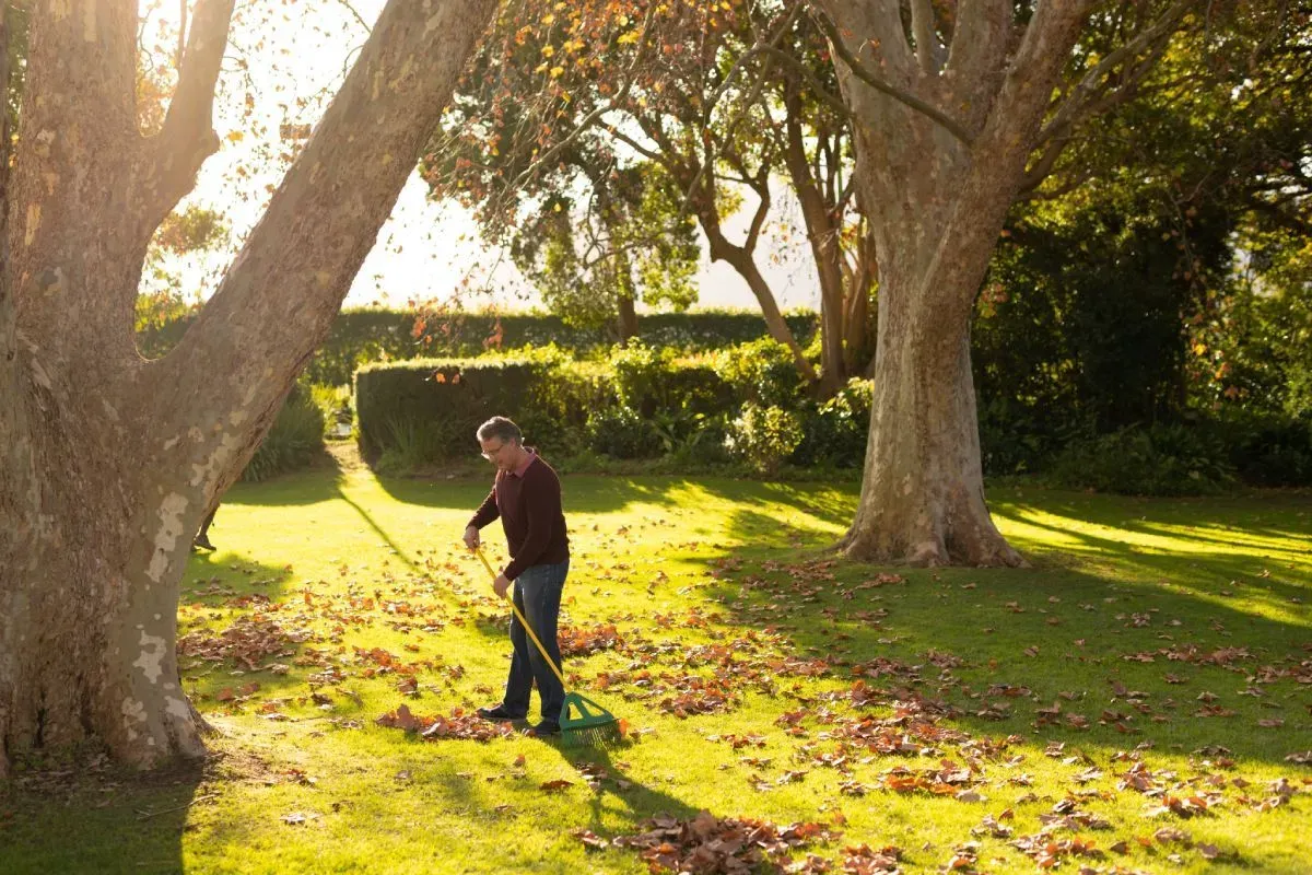 A szép, tavaszi pázsit ősszel készül!