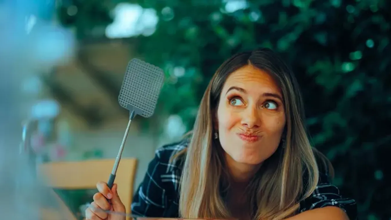 Árvaszúnyoginvázió a Balaton partján: így védekezhetsz ellenük