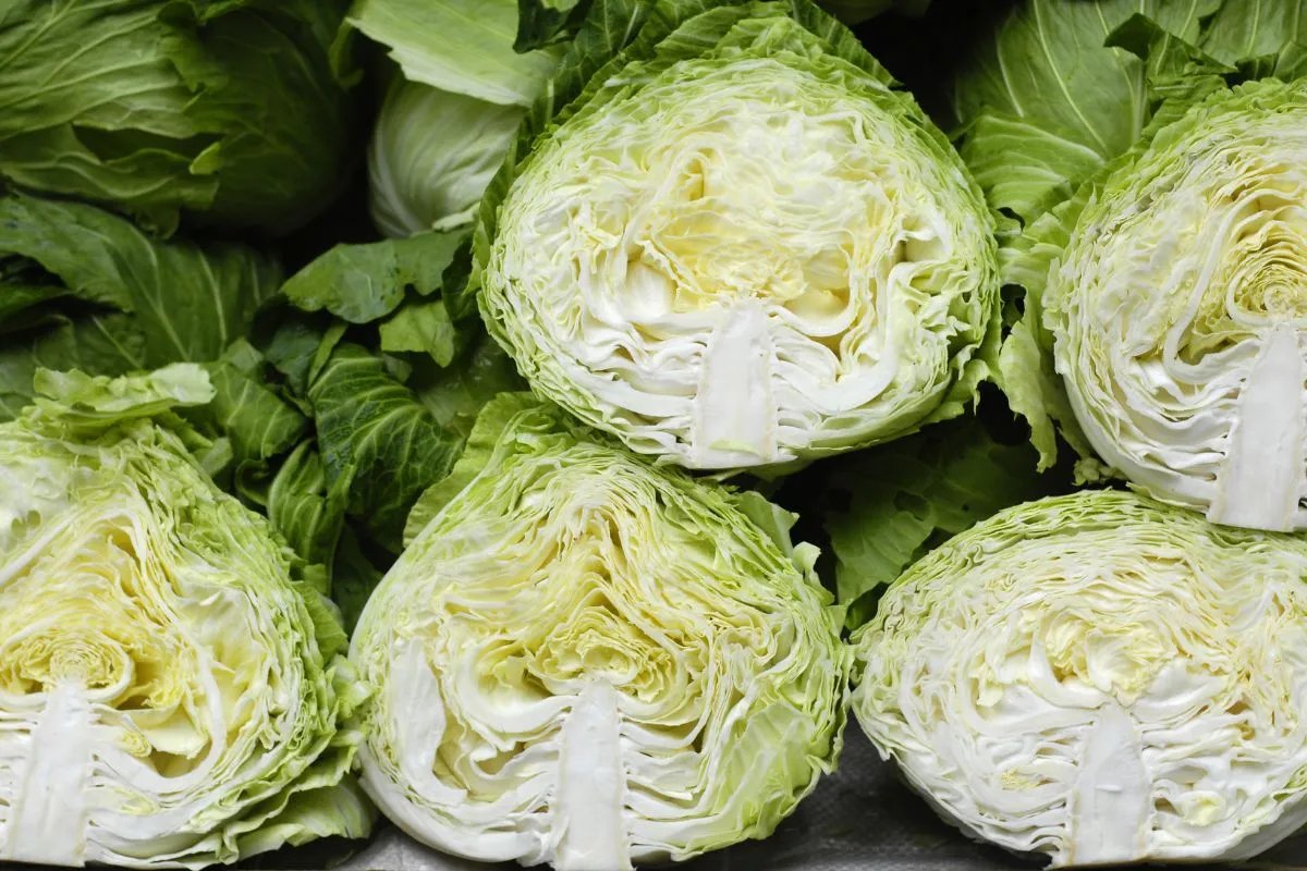 A nyers káposzta hatásai kiemelkedőek