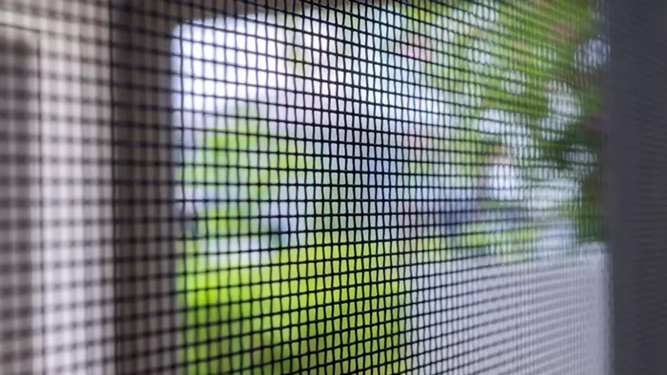 Ha ez rajta van az ablakodon, amikor szellőztetsz, komoly betegséget kockáztatsz