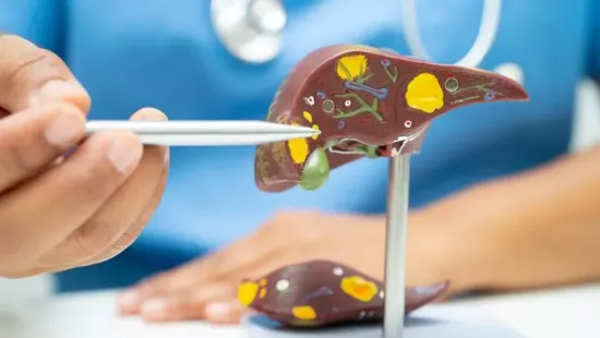 Ezek a legjobb ételek zsírmáj ellen, rendszeres fogyasztásukkal visszafordítható az elváltozás