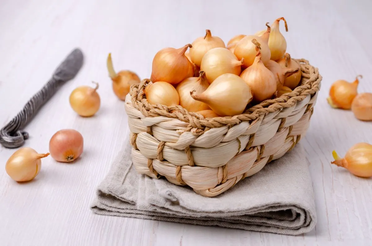 A hagyma számos betegség ellen jelent gyógyírt 