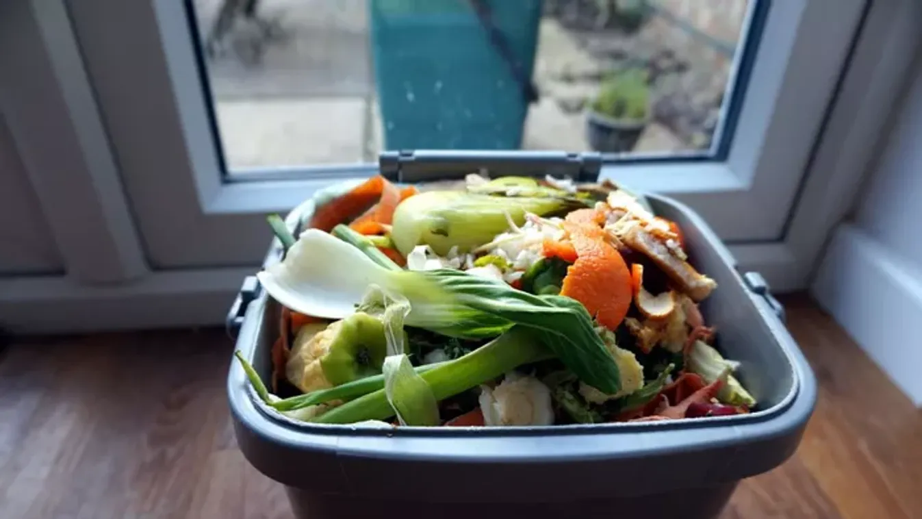 Bizarrul hangzik, de szuperül működik: komposztálj lakásban, gilisztákkal