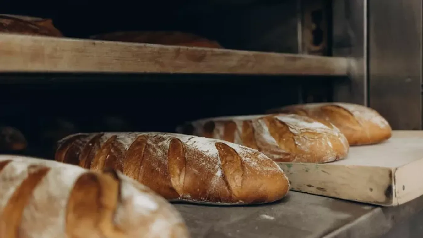 Brutális: koszban, rovartetemek között készült a kenyér, bezáratta a pékséget a Nébih