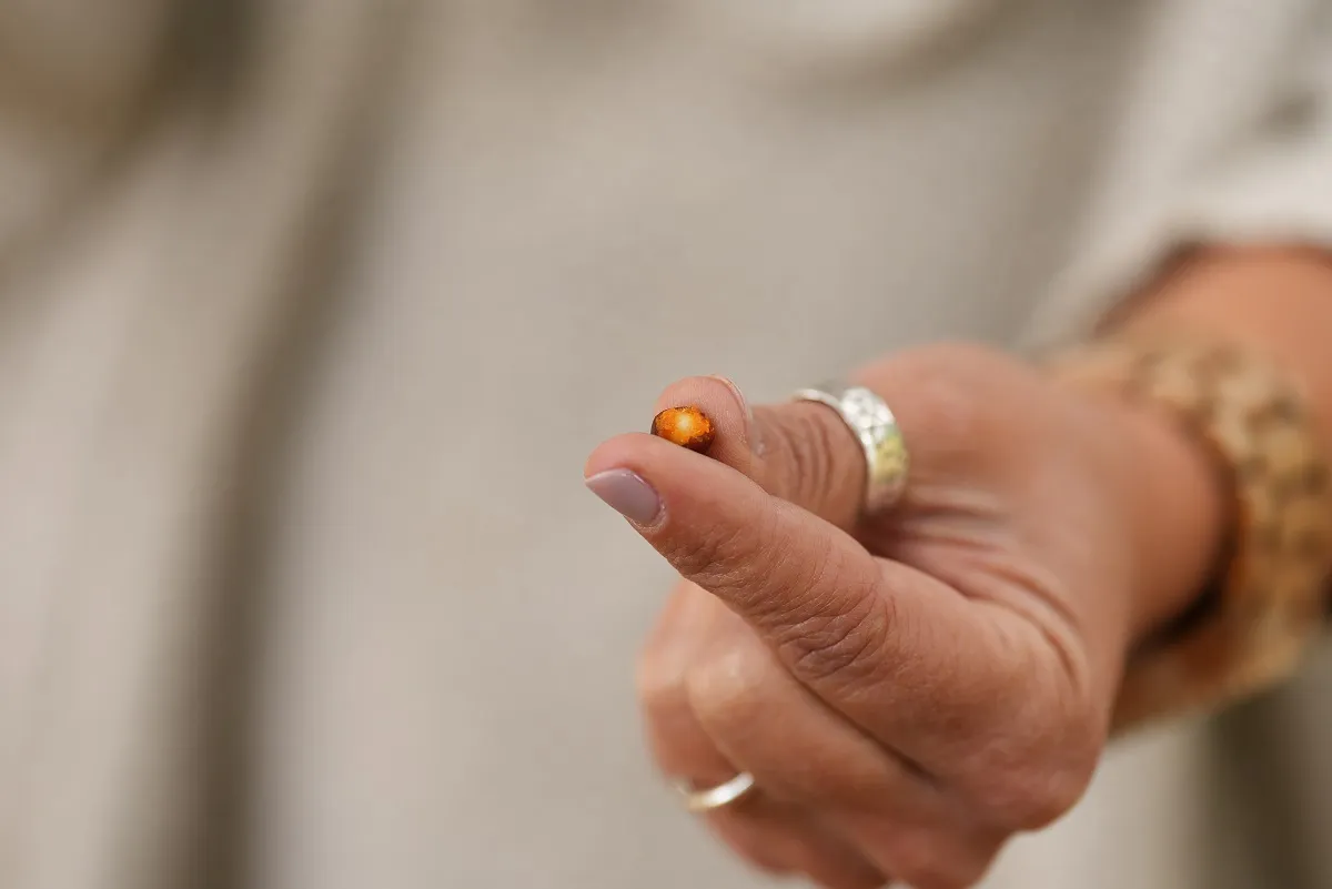 A termésen belül kevés, de datolyaízű gyümölcshús található