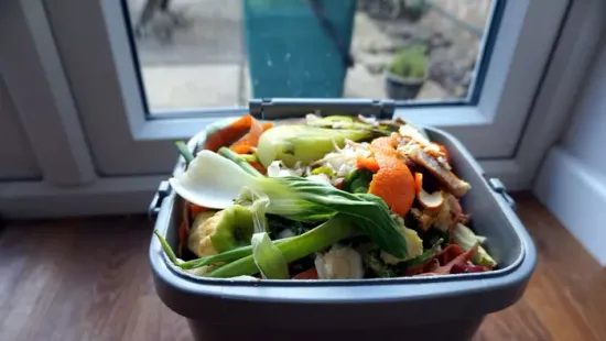 Bizarrul hangzik, de szuperül működik: komposztálj lakásban, gilisztákkal